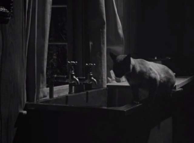 Bluebeard's Ten Honeymoons - Siamese cat on sink