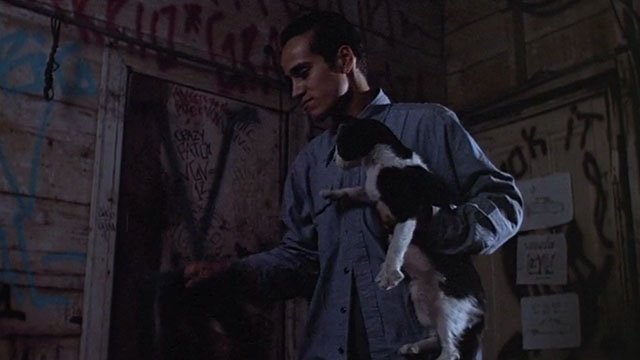 Boulevard Nights - Chuco Danny De La Paz picking up tuxedo cat