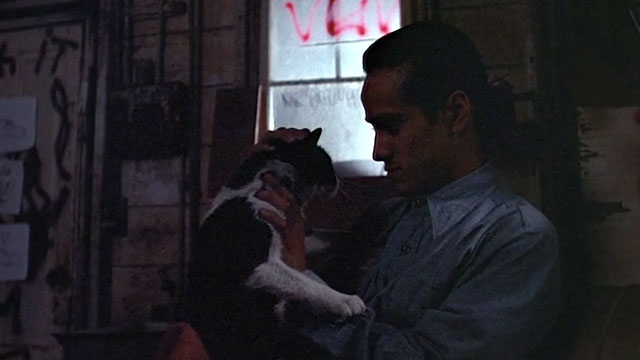 Boulevard Nights - Chuco Danny De La Paz holding up and petting tuxedo cat