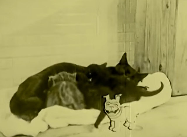 Bobby Bumps Fresh Fish - cartoon bulldog Fido laughing at sight of black cat nursing kittens