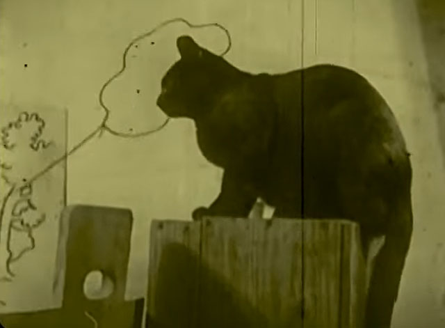 Bobby Bumps Fresh Fish - black cat being lassoed
