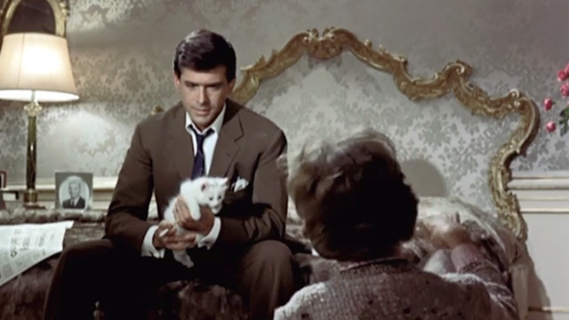 Boccaccio '70 - Il lavoro - Count Ottavio Tomas Milian holding at long haired white kitten on bed