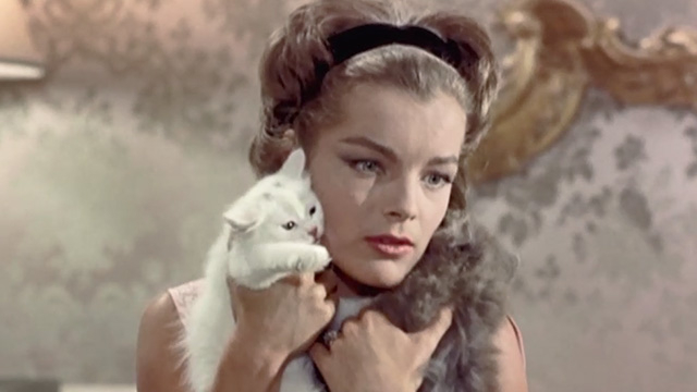 Boccaccio '70 - Il lavoro - Pupe Romy Schneider holding long haired white and gray kittens to face