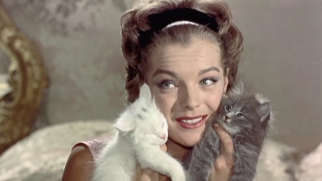 Boccaccio '70 - Il lavoro - Pupe Romy Schneider holding long haired white and gray kittens to her face
