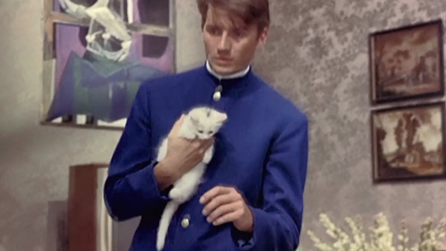 Boccaccio '70 - Il lavoro - Franz holding long haired white kitten