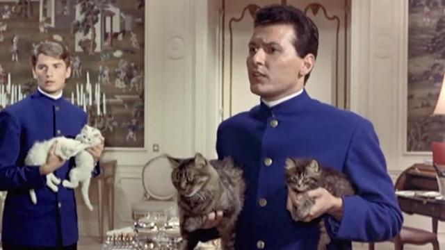 Boccaccio '70 - Il lavoro - Antonio and Franz holding long haired cats