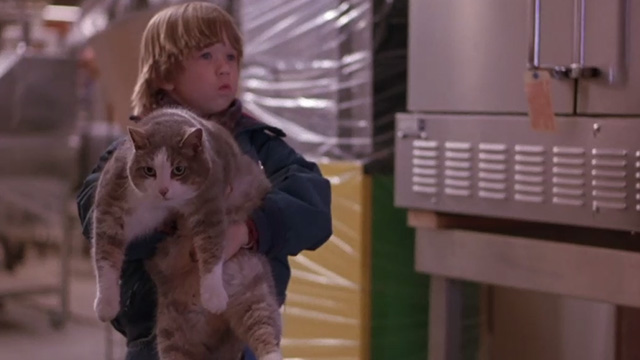 Bogus - Albert Haley Joel Osment carrying gray and white cat
