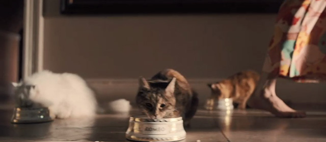 Bohemian Rhapsody - cats eating from food bowls on floor as Freddie Mercury Rami Malek walks by