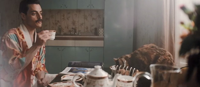 Bohemian Rhapsody - tortoiseshell cat eating on table with Freddie Mercury Rami Malek