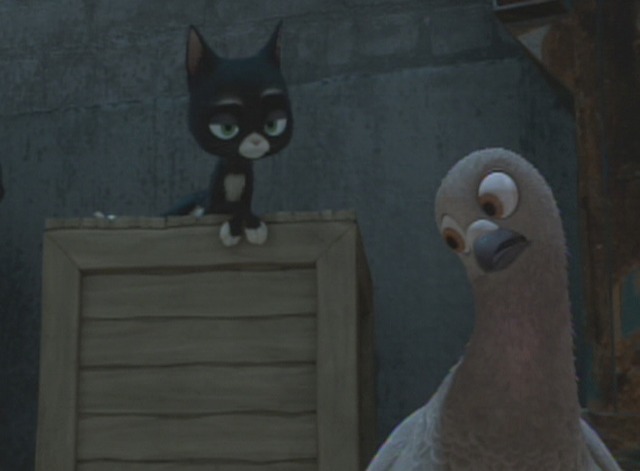 Bolt - tuxedo cat Mittens threatens pigeon