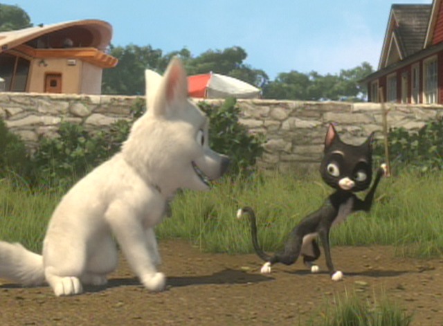 Bolt - tuxedo cat Mittens throws stick for dog Bolt