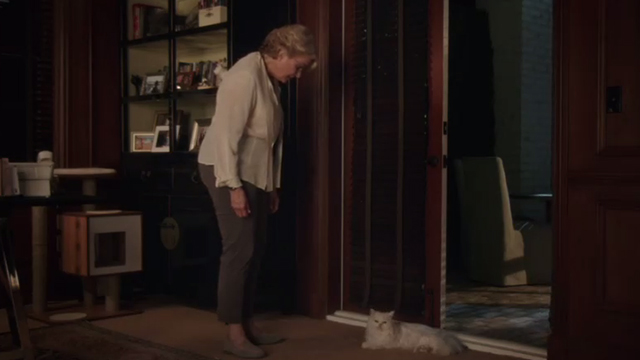 Book Club - white Persian cat Ginsburg lying next to doorway with Sharon Candice Bergen