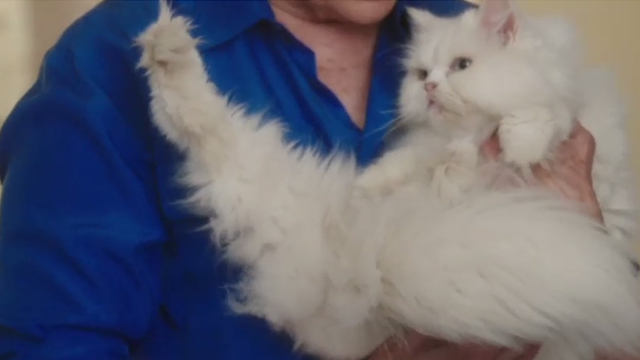 Book Club - white Persian cat Ginsburg held by Sharon