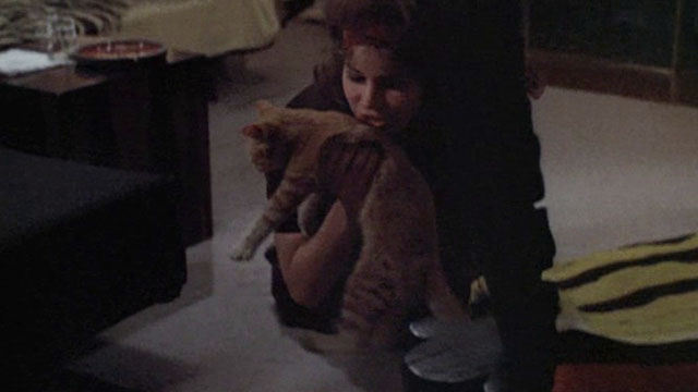 Born to Win - Parm Karen Black picking up ginger tabby cat