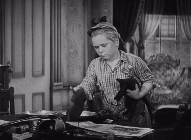 The Bowery - Swipes Jackie Cooper picking up black kitten from desk