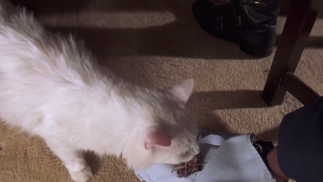 Breakin' 2: Electric Boogaloo - white cat taking crawfish from napkin