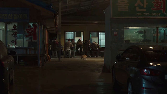 Broker - ginger and white tabby cat eating on ground outside restaurant