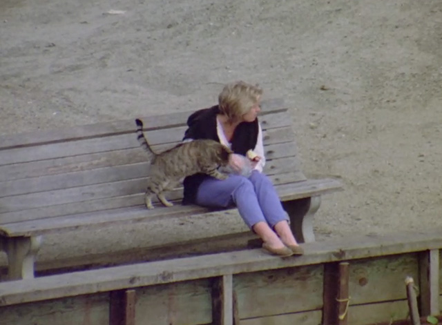 Brotherhood of Justice - tabby cat on bench at beach with woman eating lunch