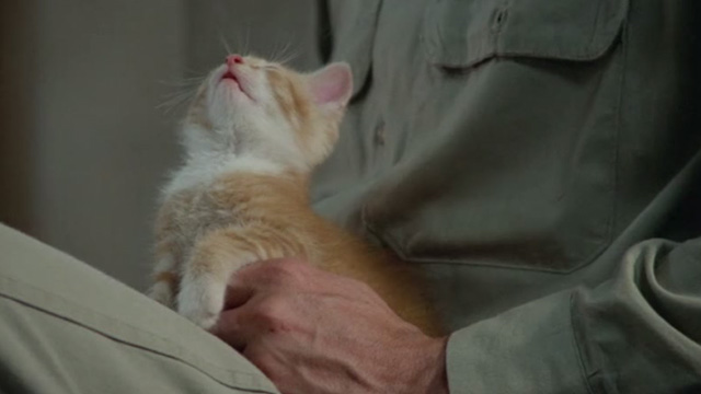 Brubaker - kitten sleeping in Eddie's lap