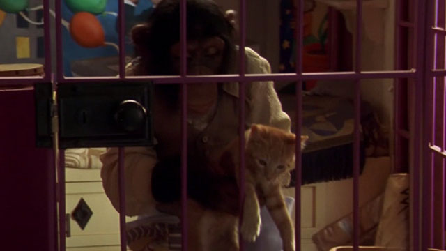 Buddy - chimpanzee Joe holding orange tabby kitten in cage