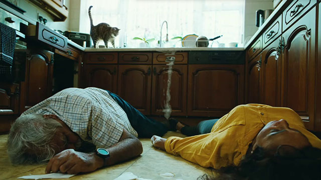 Bugonia - tabby cat on kitchen counter with dead woman and man on floor