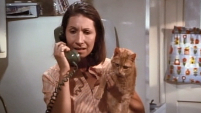 Bunny O'Hare - Lulu Reva Rose on phone holding orange tabby cat