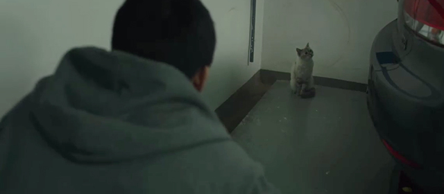 Burning - Jong-su Ah-in Yoo looking at white shorthaired tabby cat Boil in parking garage