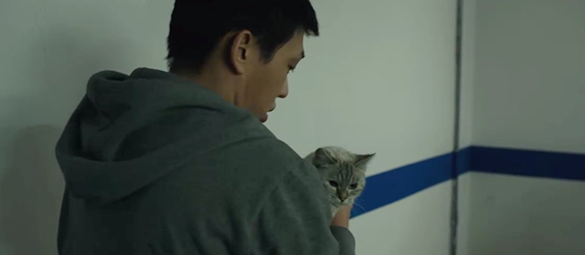 Burning - Jong-su Ah-in Yoo holding white shorthaired tabby cat Boil