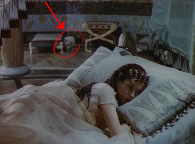 Caesar and Cleopatra - white cat in background