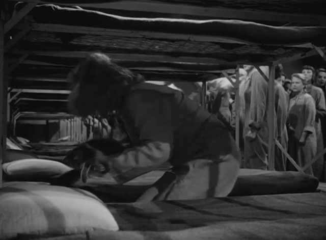 Caged - Marie Allen Eleanor Parker  stashing tiny tabby kitten Fluff into pillowcase