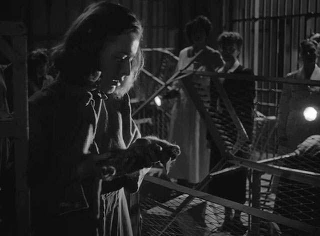 Caged - Marie Allen Eleanor Parker  holding lifeless body of tiny tabby kitten Fluff