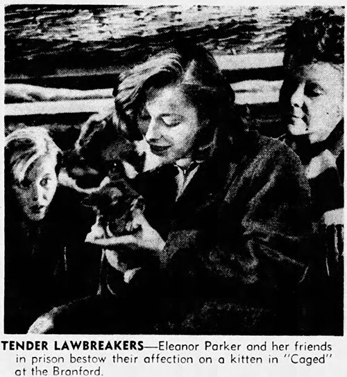 Caged - Marie Allen Eleanor Parker with tiny tabby kitten Fluff and other inmates in newspaper photo