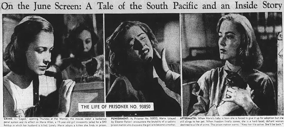 Caged - various photos of Marie Allen Eleanor Parker with tiny tabby kitten Fluff in newspaper article