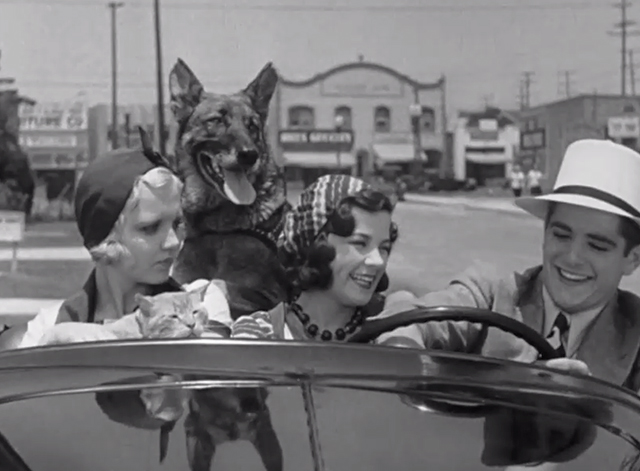 Call a Cop! - Mary Kornman with tabby cat Genevieve riding in car with Gertrude Messinger Dave Sharpe and dog