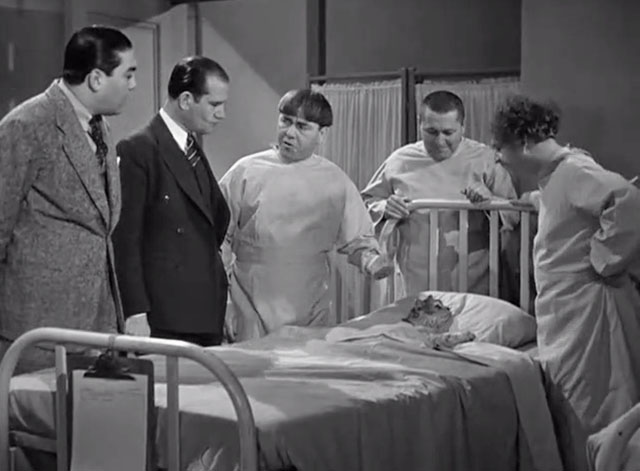 Calling All Curs - Larry Fine Moe Curly Howard with Lynton Brent and Cy Schindell around longhair tabby cat lying in bed