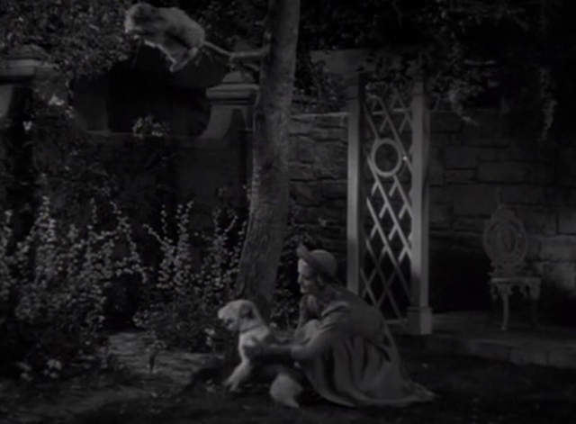 Call It a Day - Jean Anita Louise pulls dog away from tree where long-haired cat Silky is sitting