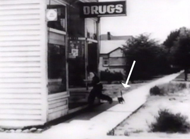 The Cameraman - black cat runs around corner of drugstore as Buster Keaton runs inside