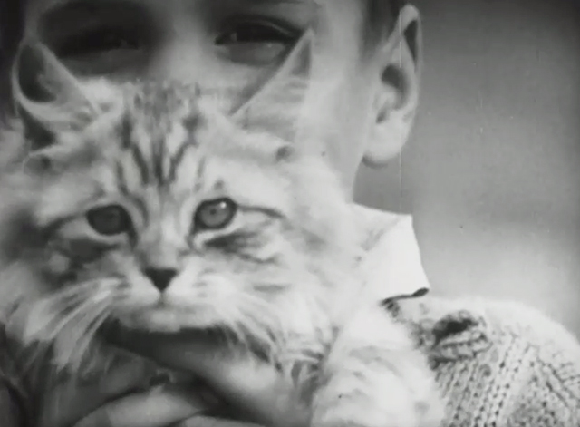 Can You Imagine? - boy Dickie McCollin holding longhair tabby kitten in front of his face