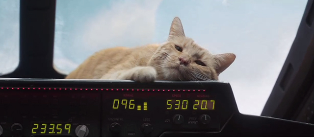 Captain Marvel - ginger tabby cat Flerken Goose on dashboard