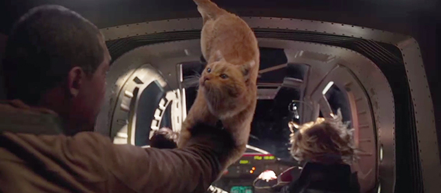 Captain Marvel - Nick Fury letting ginger tabby cat Flerken Goose grab onto his arm in zero gravity