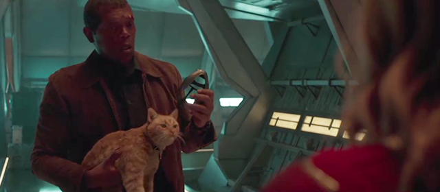 Captain Marvel - Nick Fury Samuel L. Jackson holding ginger tabby cat Flerken Goose
