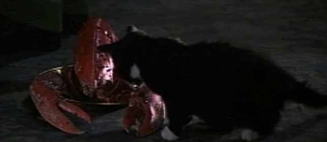 Captain Nemo and the Underwater City kitten eating lobster