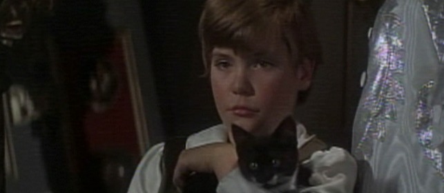 Captain Nemo and the Underwater City kitten