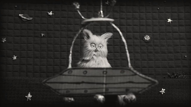 Captain Sparky vs. the Flying Saucers - white Persian cat Mr. Whiskers inside flying saucer