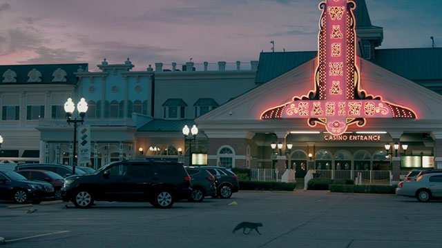 The Card Counter - cat running across casino parking lot