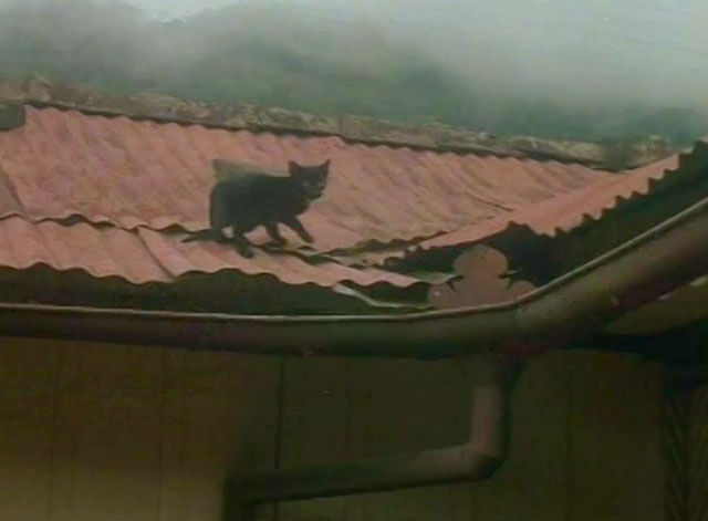 Carne de tu Carne - Bloody Flesh - black cat on roof