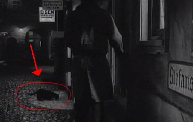 Carry on Spying - black cat on Vienna street