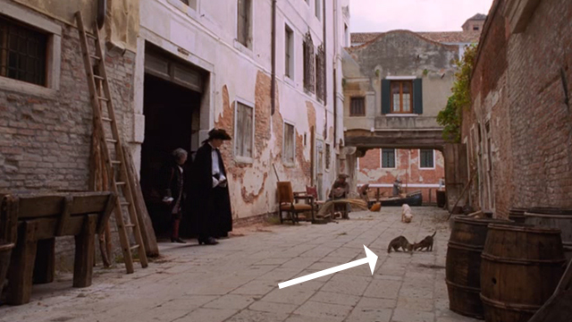 Casanova - two tabby kittens in alley with Casanova Heath Ledger