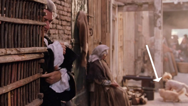 Casanova - long haired ginger cat in background with child