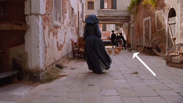 Casanova - tabby kitten in alley